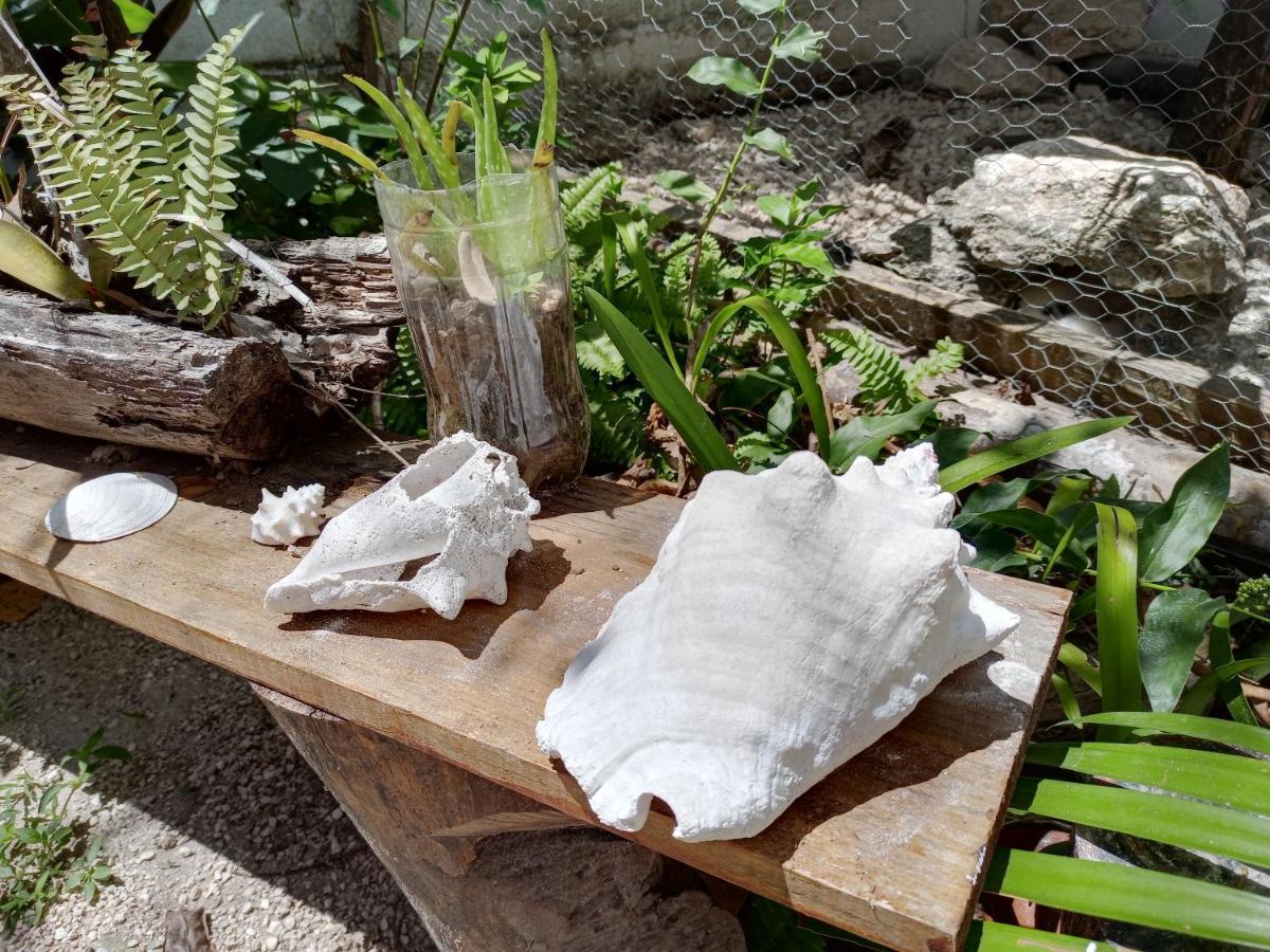 Mi Cuartito En Bacalar Apartment ภายนอก รูปภาพ